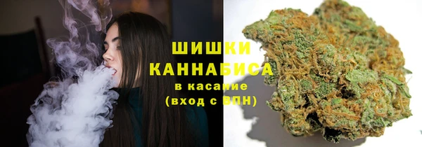 гашик Михайловка