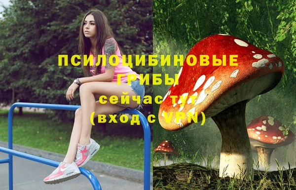 соль ск Кинешма