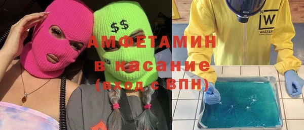 индика Инсар
