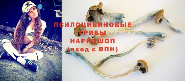 ECSTASY Навашино