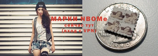 шишки Медногорск