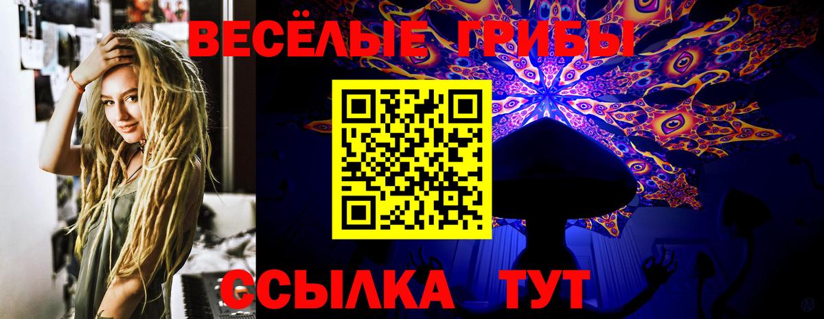 Псилоцибиновые грибы прущие грибы Павловский Посад