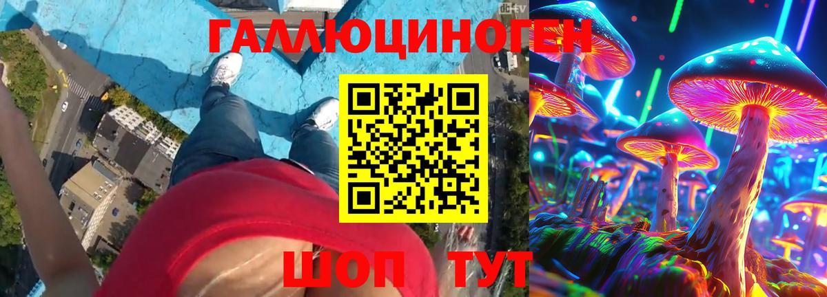 Павловский Посад  Псилоцибиновые грибы Cubensis  Вход с VPN 